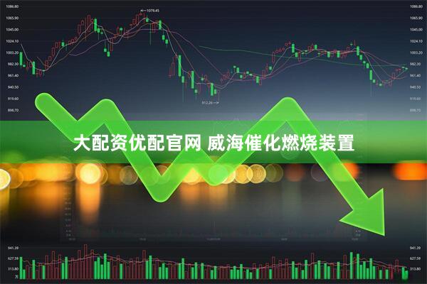 大配资优配官网 威海催化燃烧装置
